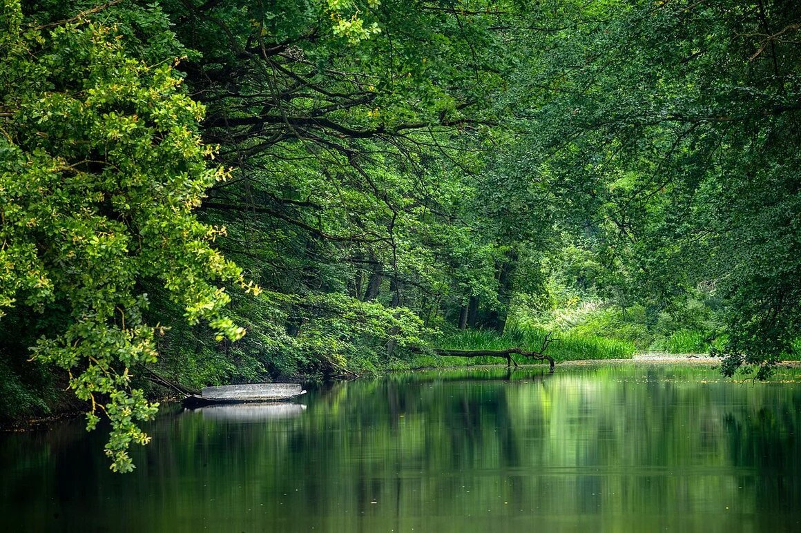 Karlsgraben (Treuchtlingen, Naturpark Altmühltal)