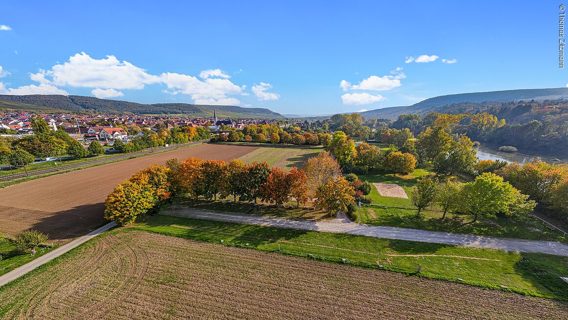 Wohnmobilstellplatz (Thüngersheim, Fränkisches Weinland)