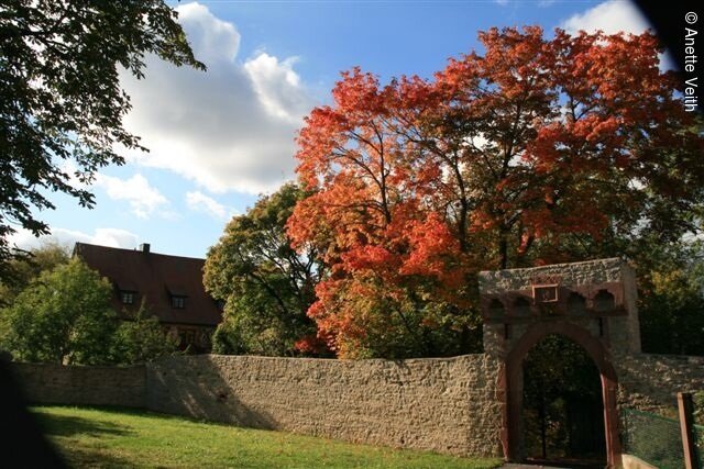 Südtor, Stadtmauer und Schloss (Neubrunn, Liebliches Taubertal)