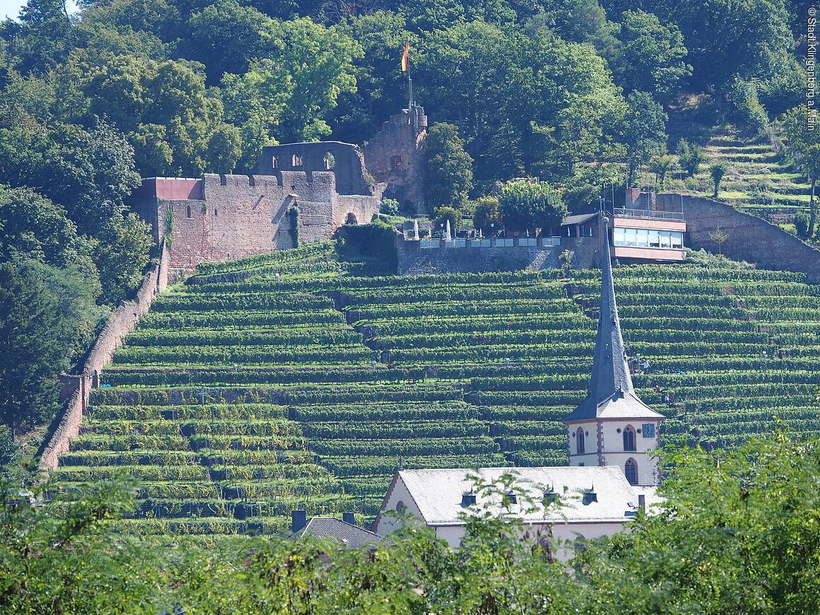 Burgruine Clingenburg (Klingenberg a.Main, Spessart-Mainland)