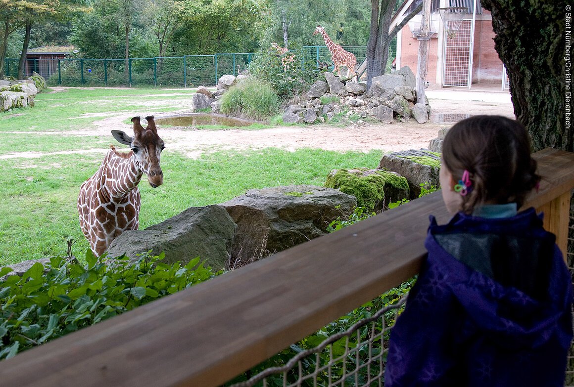 Tiergarten (Nürnberg, Städteregion Nürnberg)