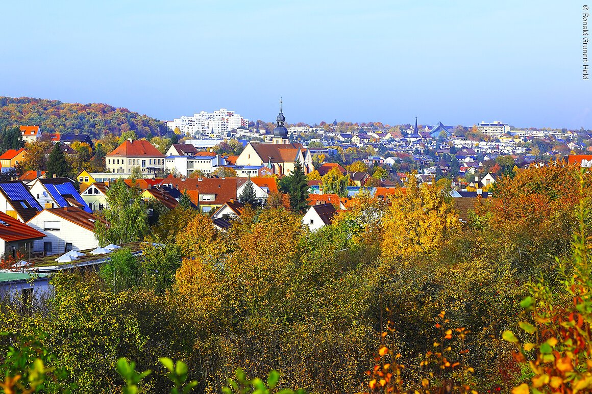 Ortsansicht (Höchberg, Fränkisches Weinland)