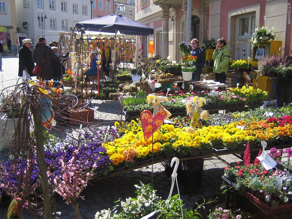 Bunte Blumen auf einem frühlingshaften Marktstand, im Hintergrund bummelnde Menschen