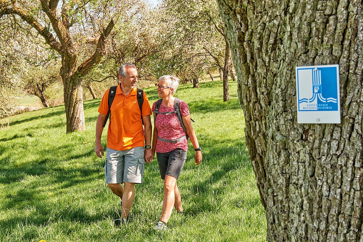 Europäischer Wasserscheideweg (Romantisches Franken)