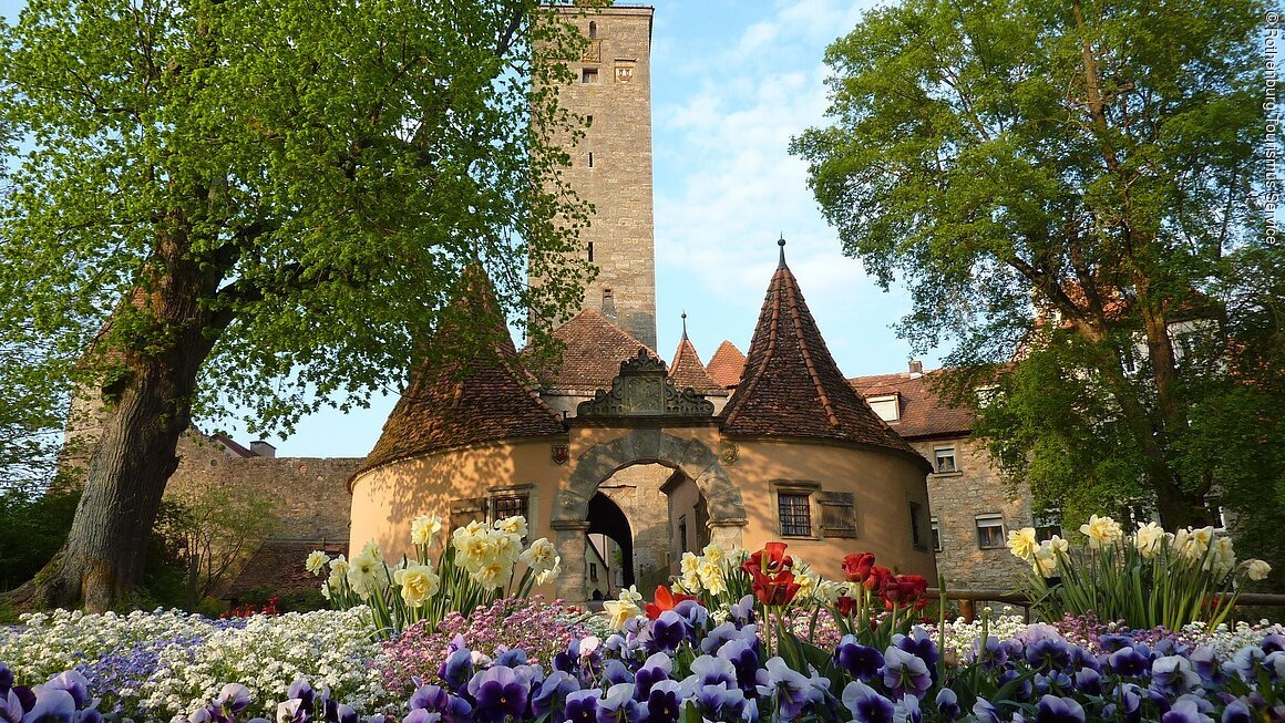 Burgtor im Frühling (Rothenburg o.d. Tauber/Liebliches Taubertal)