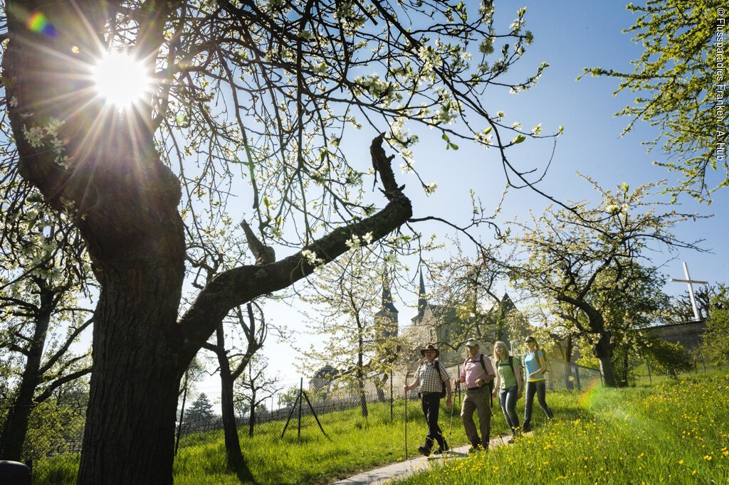 Unter strahlendem Frühjahrssonnenschein spaziert eine Gruppe Wandernder durch grüne Wiesen