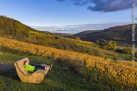 Pause in den Weinbergen (Spessart-Mainland)