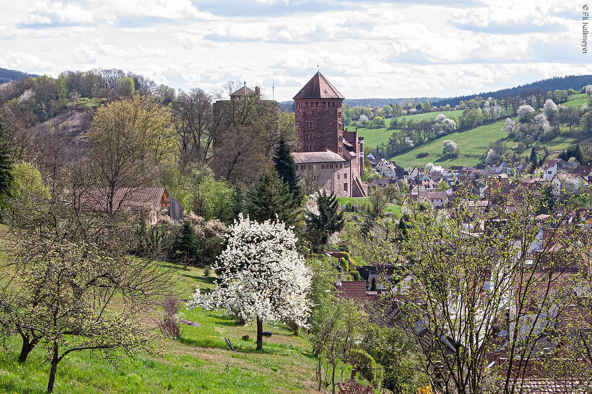 Burg in Frühling (Rieneck, Spessart-Mainland)