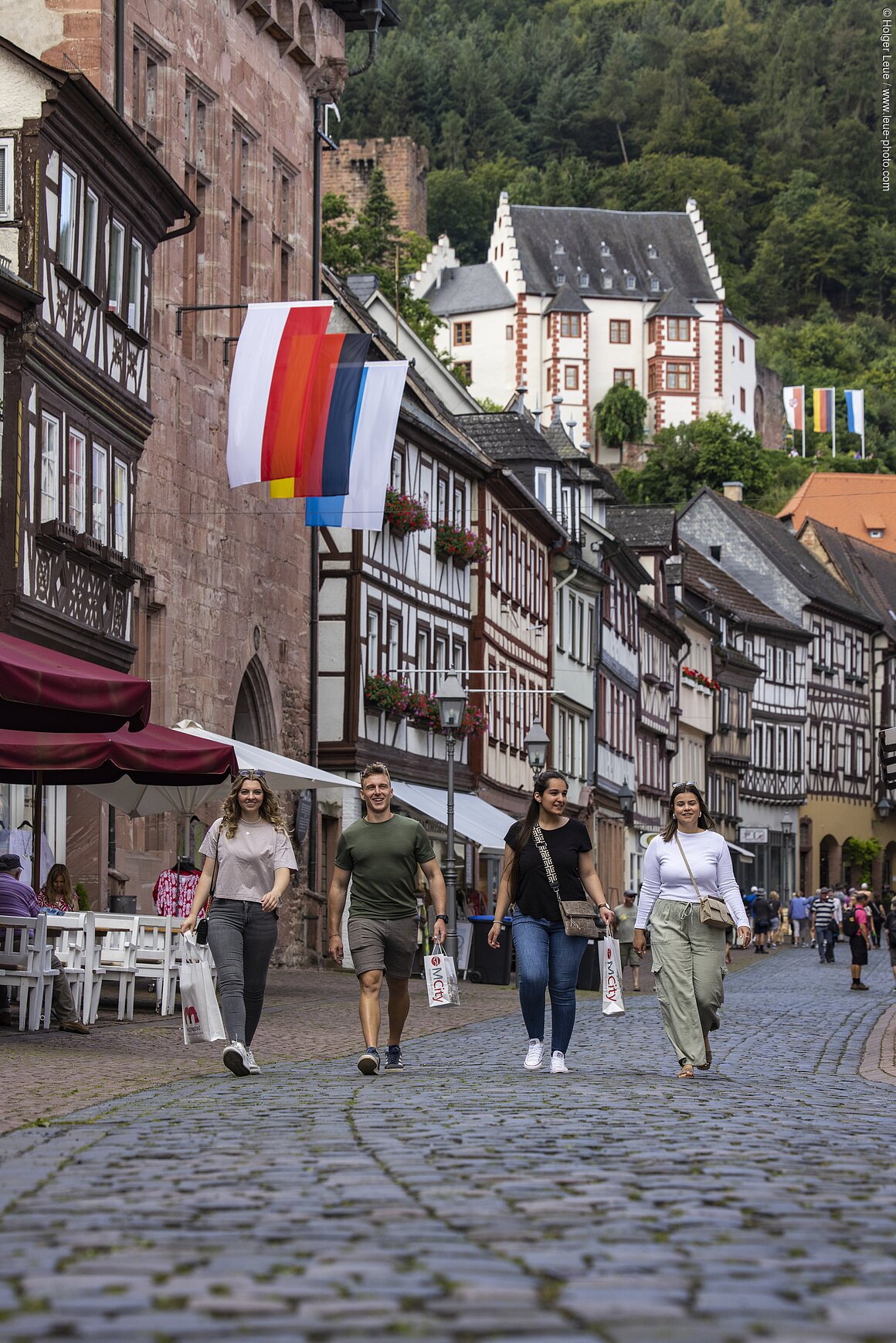Miltenberg, Spessart-Mainland, Franconia, Bavaria, Germany