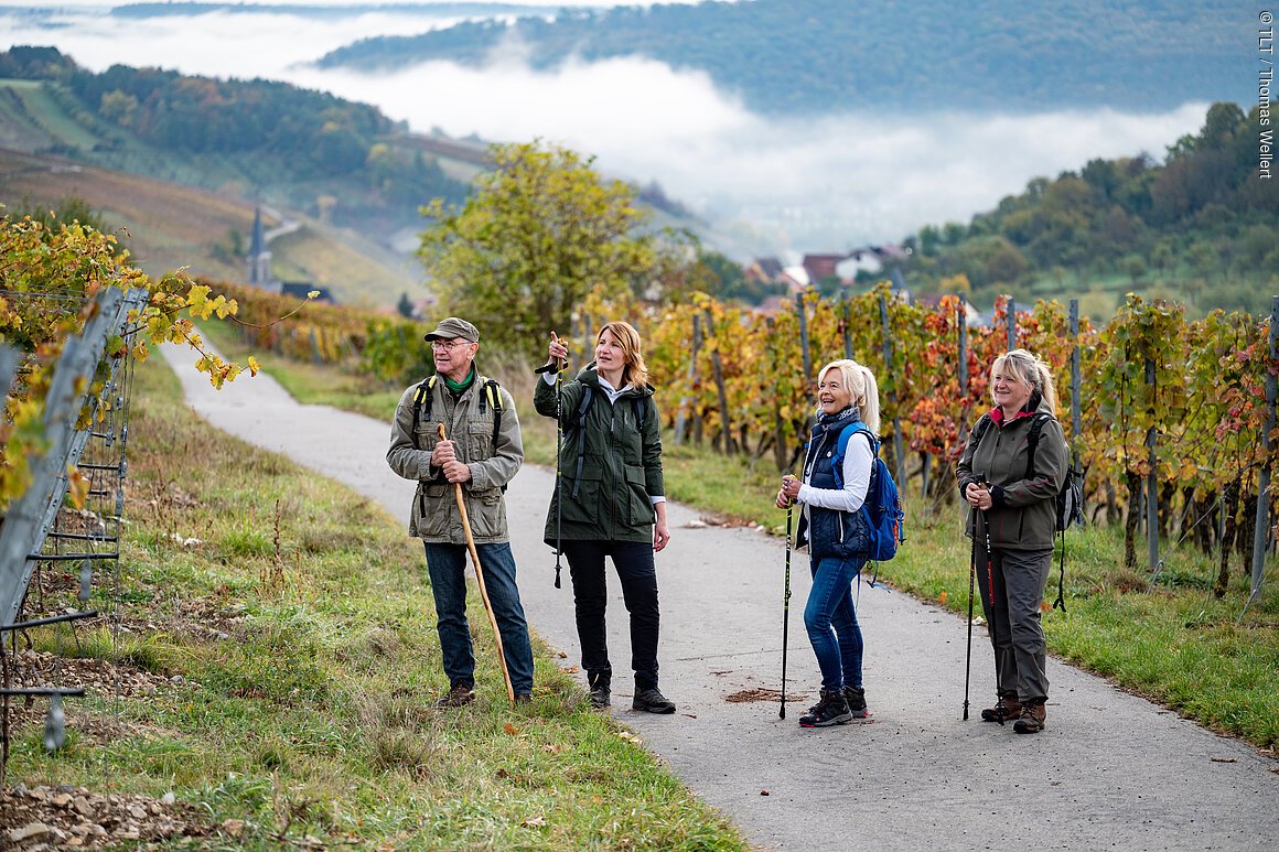 Herbstliche Wandertage im Lieblichen Taubertal Wandernde können während der Taubertäler Wandertage die herbstliche Landschaft genießen, und etwas über regionaltypischen Besonderheiten erfahren