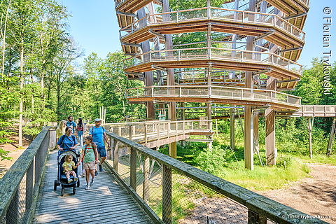 Familie mit Kinderwagen am Baumwipfelpfad
