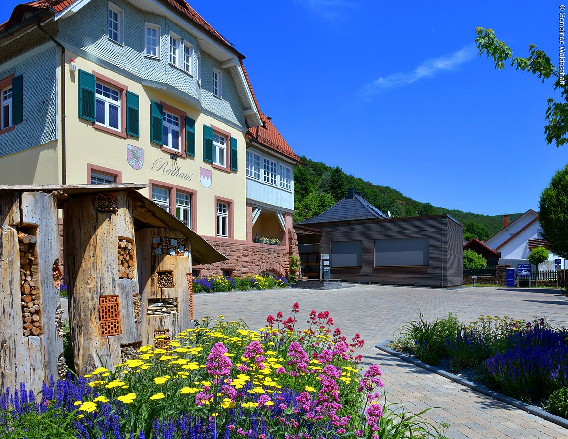 Historisches Gebäude mit der Aufschrift "Rathaus", umgeben von bunten Blumen und einem Insektenhotel im Vordergrund.