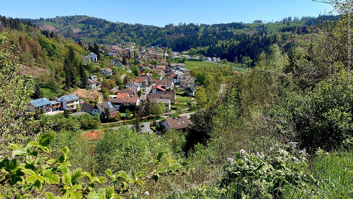 Blick auf ein Dorf in einer hügeligen, bewaldeten Landschaft mit Häusern und grünen Bäumen.