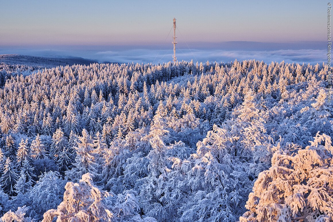 Winterlandschaft (Fichtelgebirge) Verschneiter Wald mit einem Sendemast in der Mitte, im Hintergrund ein klarer Himmel.