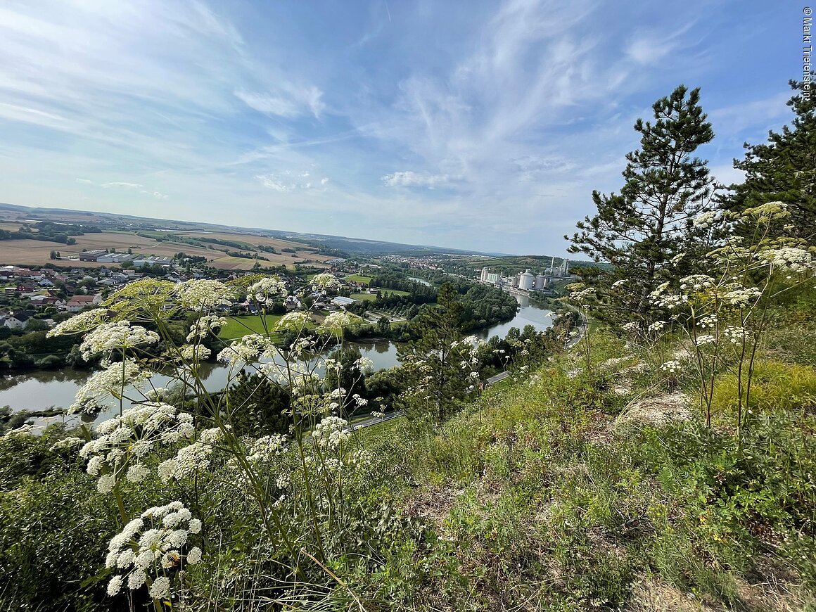 Blick von einem Hang mit weißen Blüten auf einen Fluss, Häuser, Felder unter blauem Himmel.
