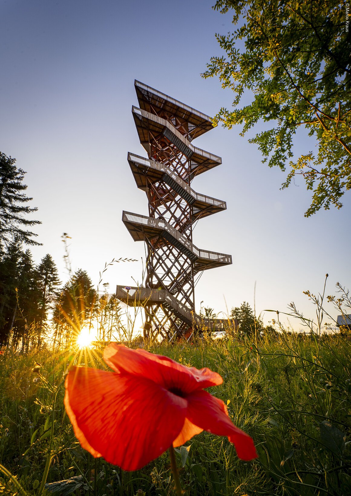 Aussichtsturm in einer Wiese mit roter Blume und Sonnenuntergang im Hintergrund