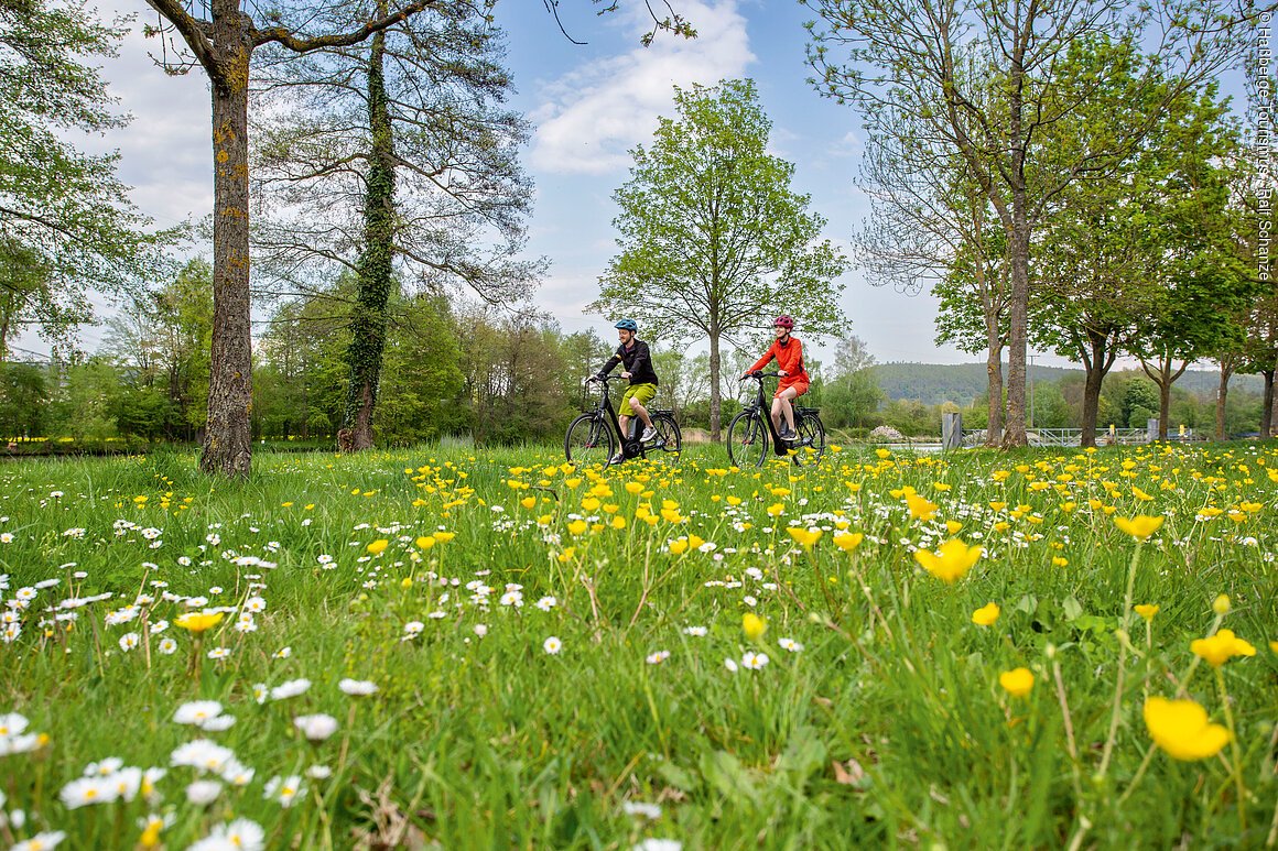 Zwei Personen fahren mit Fahrrädern auf einem Weg neben einer Wiese mit gelben und weißen Blumen unter Bäumen.