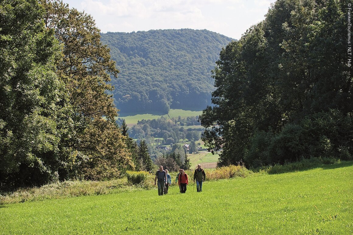 Vier Personen wandern auf einer grünen Wiese mit Wald und Hügeln im Hintergrund.