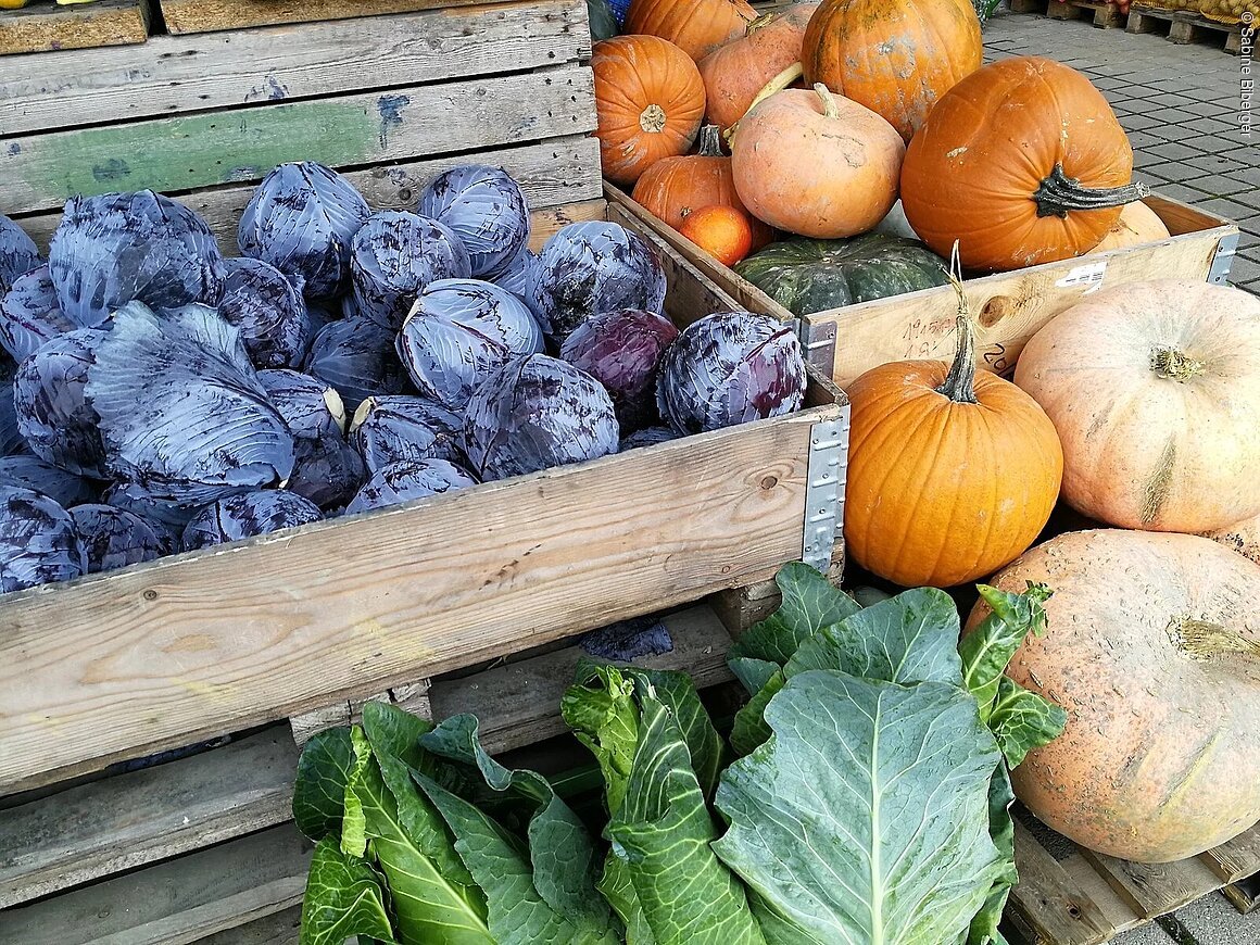 Holzkisten mit roten Kohlköpfen, orangefarbenen Kürbissen und grünen Kohlblättern auf Paletten draußen.