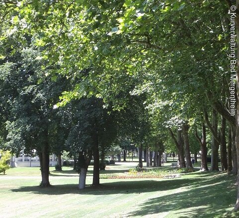 Park mit Rasenflächen und Baumreihen, im Hintergrund Gebäude sichtbar, Tageslicht