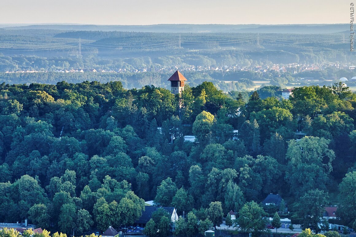 Wald mit einem Turm in der Mitte, dahinter Häuser und Hügel unter klarem Himmel.