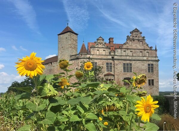 Cadolzburg bei Fürth (Nürnberg), Blick von Süden auf die Hauptburg mit Sonnenblumen im Burggarten
