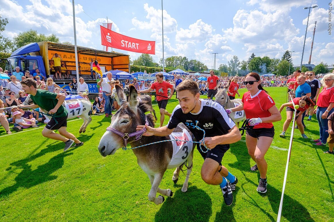 TDG - Eselrennen Hersbruck 2019 im Rahmen des Altstadtfest Hersbruck 2019 - mit Mannschaft Kommunalpolitiker aus Hersbuck und San Daniele; 04.08.2019; [© Thomas Geiger, P e g n i t z s t r. 30, D-91217 H e r s b r u c k , Tel.: +49-9151-824959 +  +49-171-3259880 - V e r o e f f e n t li c h u n g   n u r   mi t   H o n o r a r   n a c h   M F M ,   B e l e g   u n d   N a m e n s n e n n u n g !   C o p y r i g h t  n u r   f u e r   J o u r n a l i s t i s c h e  Z w e c k e, K e i n e  P e r s o e n l i c h k e i t s r e c h t e  v o r h a n d e n !  F r e i g a b e   f u e r   J o u r n a l i s t i s c h e  V e r o e f f e n t l . e r t e i l t !