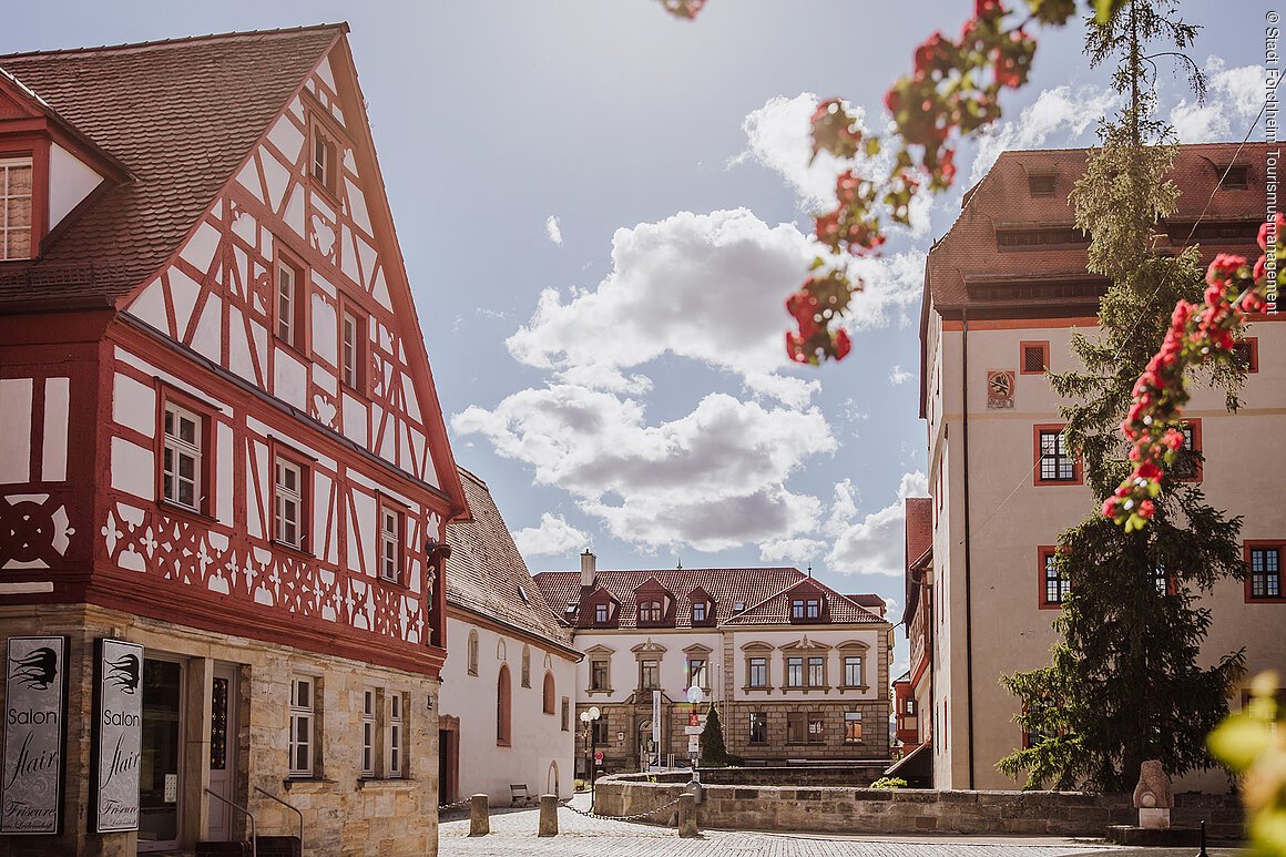 Historische Fachwerkhäuser und ein Baum mit roten Blüten an einem sonnigen Tag mit Wolken.