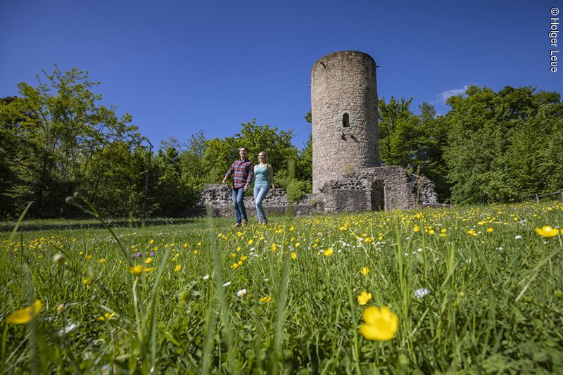 Bad Soden-Salmünster, Spessart-Mainland, Hesse, Germany