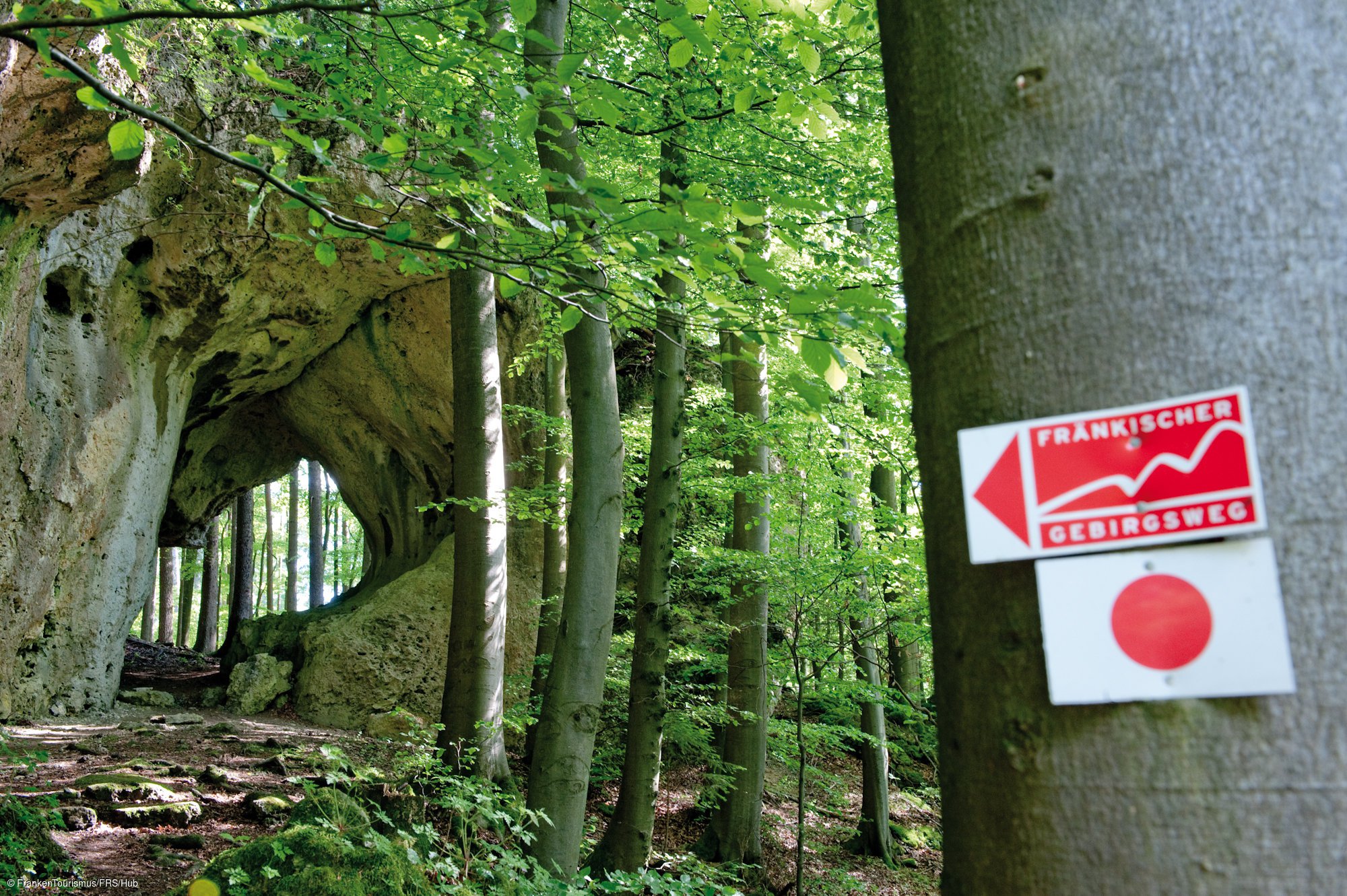 Markierung "Fränkischer Gebirgesweg" bei Betzenstein (Fränkische Schweiz) Markierung "Fränkischer Gebirgesweg" bei Betzenstein (Fränkische Schweiz)