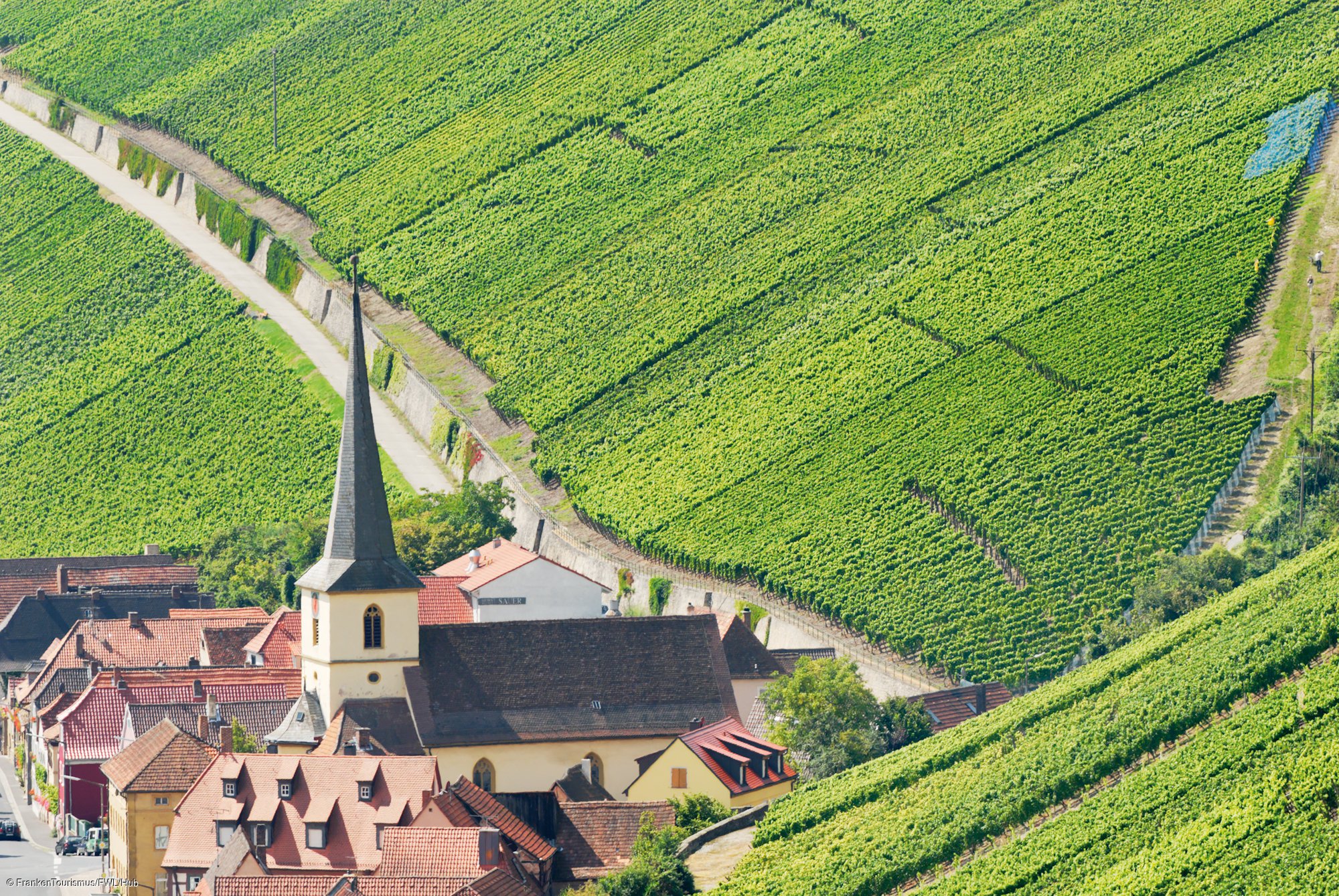 Escherndorf mit Weinbergen Escherndorf mit Weinbergen