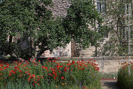 Burggarten, Cadolzburg