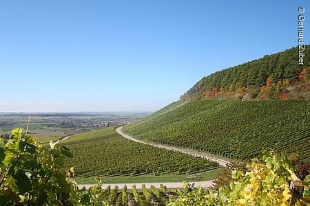 Blick in die Ferne (Weinparadiesweg, Steigerwald)