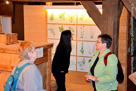 Kräutermuseum (Abtswind, Steigerwald)