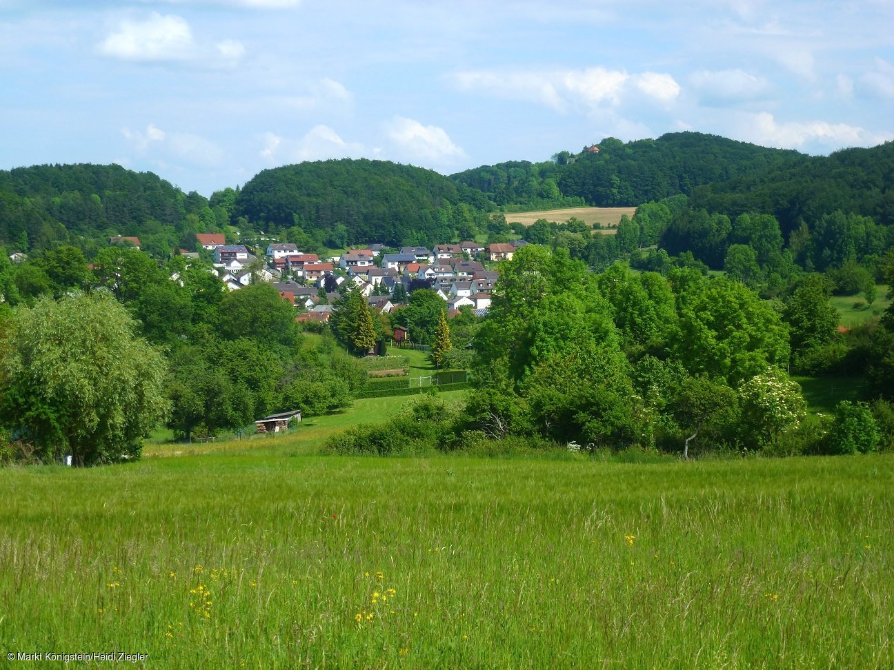 Ortsansicht (Königstein, Nürnberger Land)