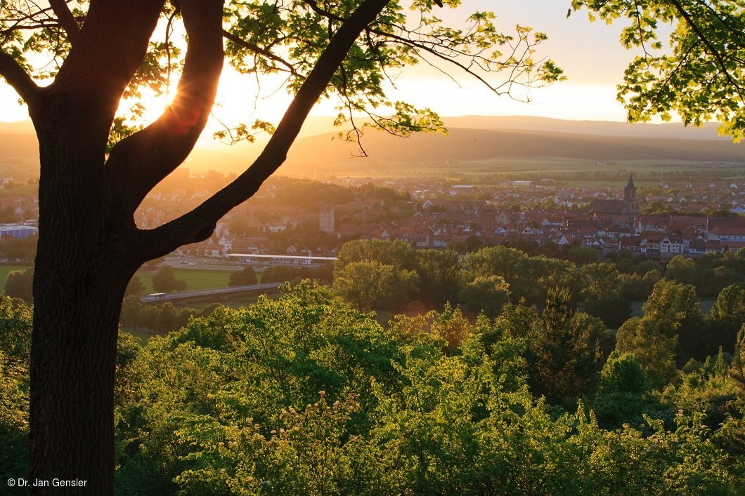 Luitpoldhöhe (Bad Neustadt, Rhön)