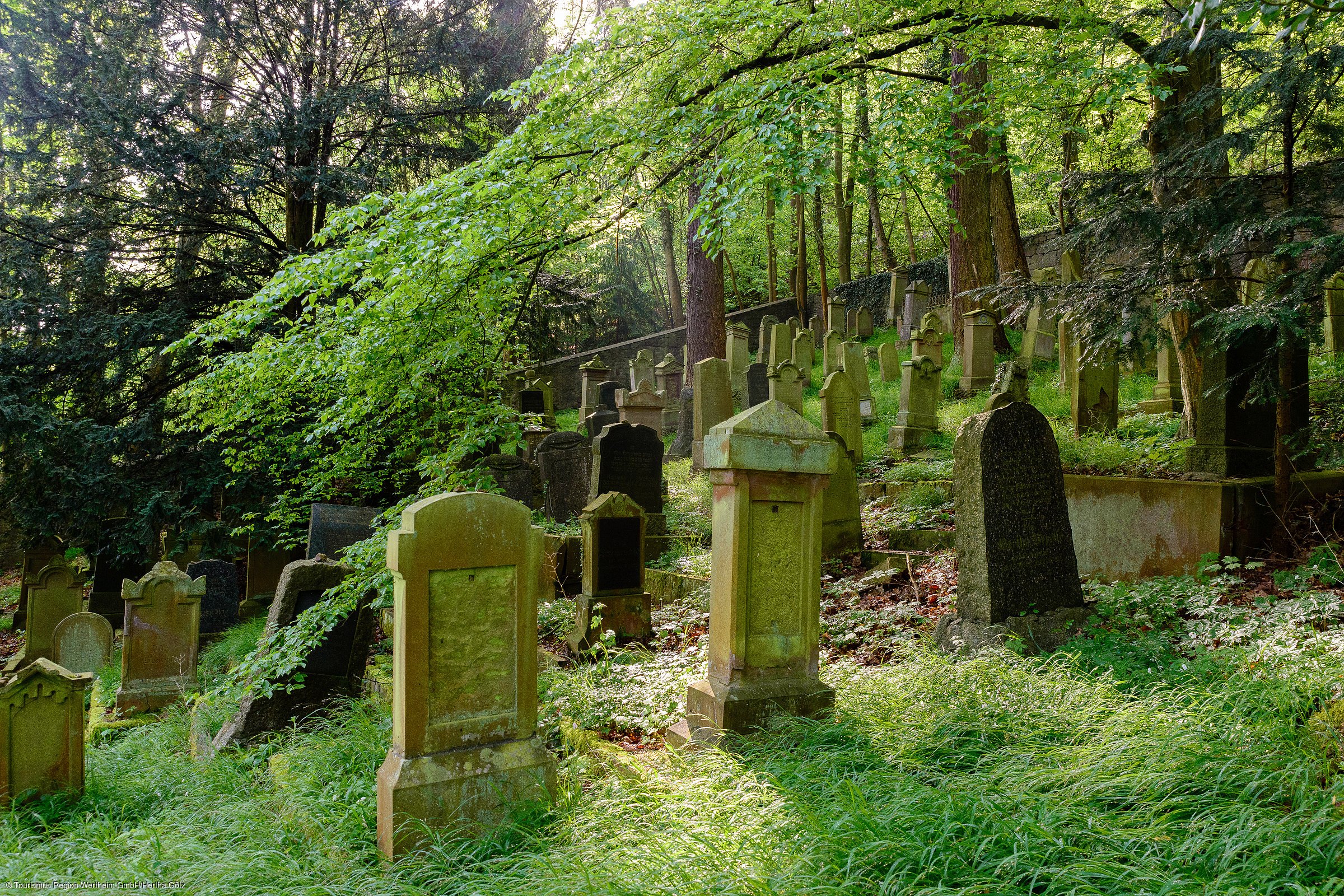 Jüdischer Friedhof (Wertheim, Liebliches Taubertal) Jüdischer Friedhof (Wertheim, Liebliches Taubertal)