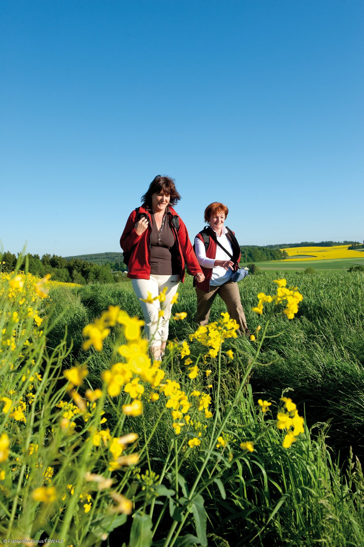 Tourismusverband Franken