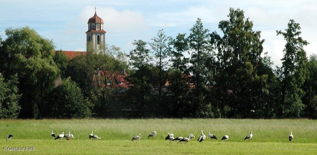 Idylle (Bechhofen, Fränkisches Seenland)