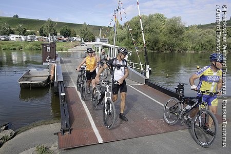 Fähre mit Radfahrern bei Nordheim