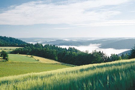 Blick über den Frankenwald