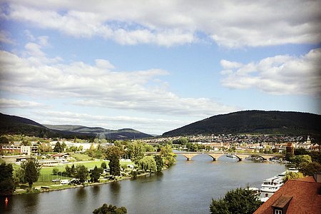 Blick auf den Main und Miltenberg