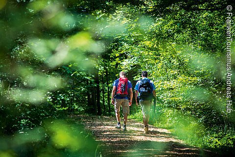 Wandern bei Iphofen (Fränkisches Weinland)