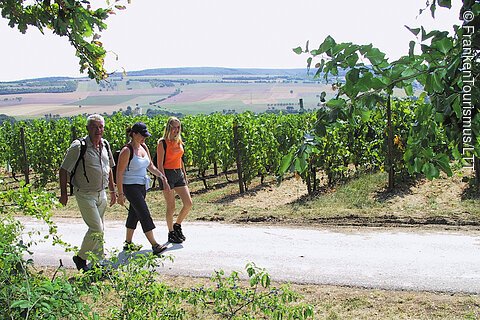 Wandern im Weinberg (Liebliches Taubertal)