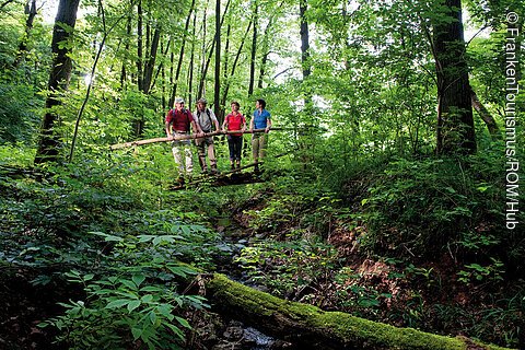 Naturschutzgebiet Karrach (Romantisches Franken)