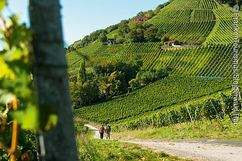 Wanderer bei Handthal (Oberschwarzach, Steigerwald)