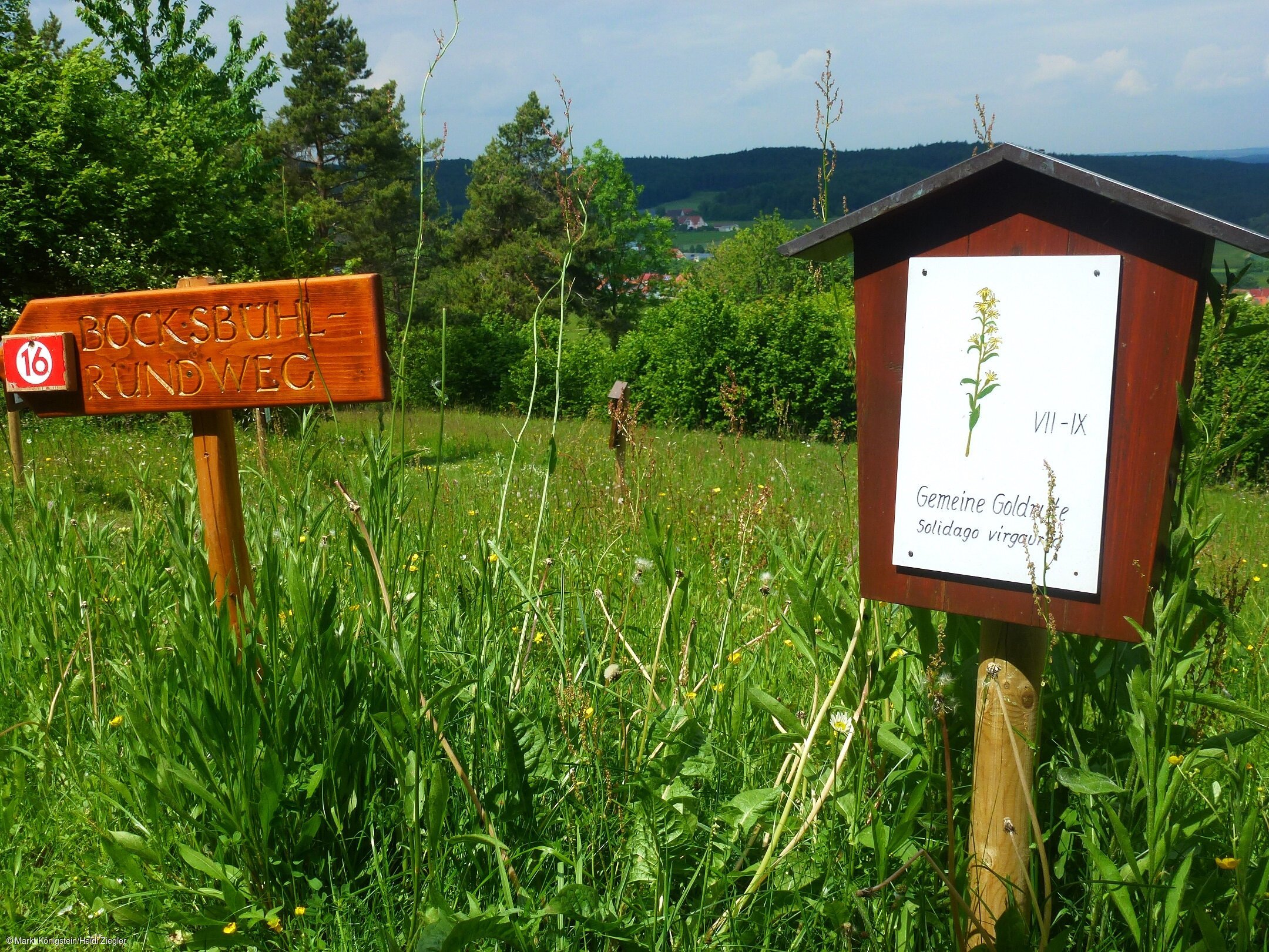 Botanischer Lehrpfad (Königstein, Nürnberger Land)