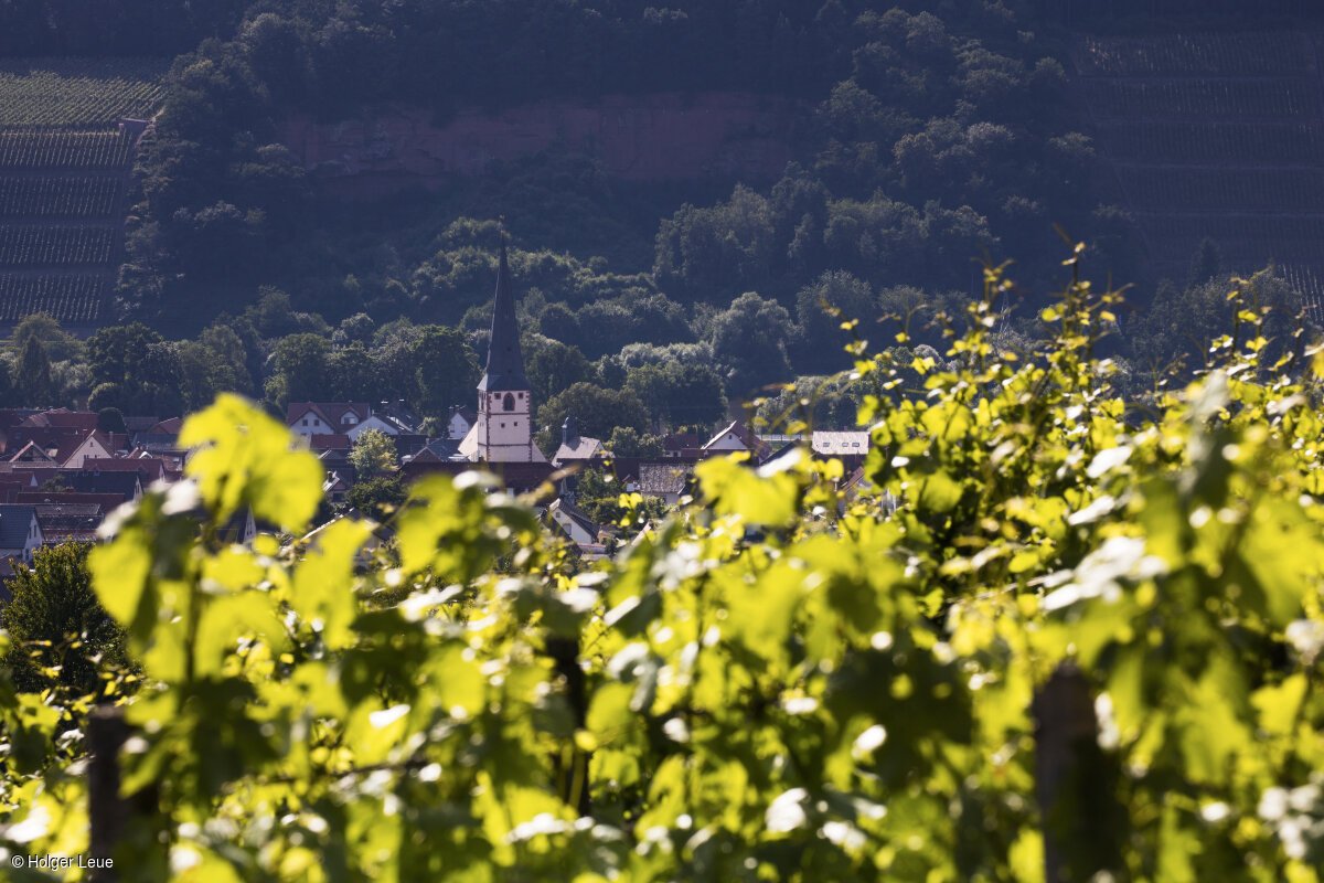 Weinberge (Bürgstadt, Spessart-Mainland)