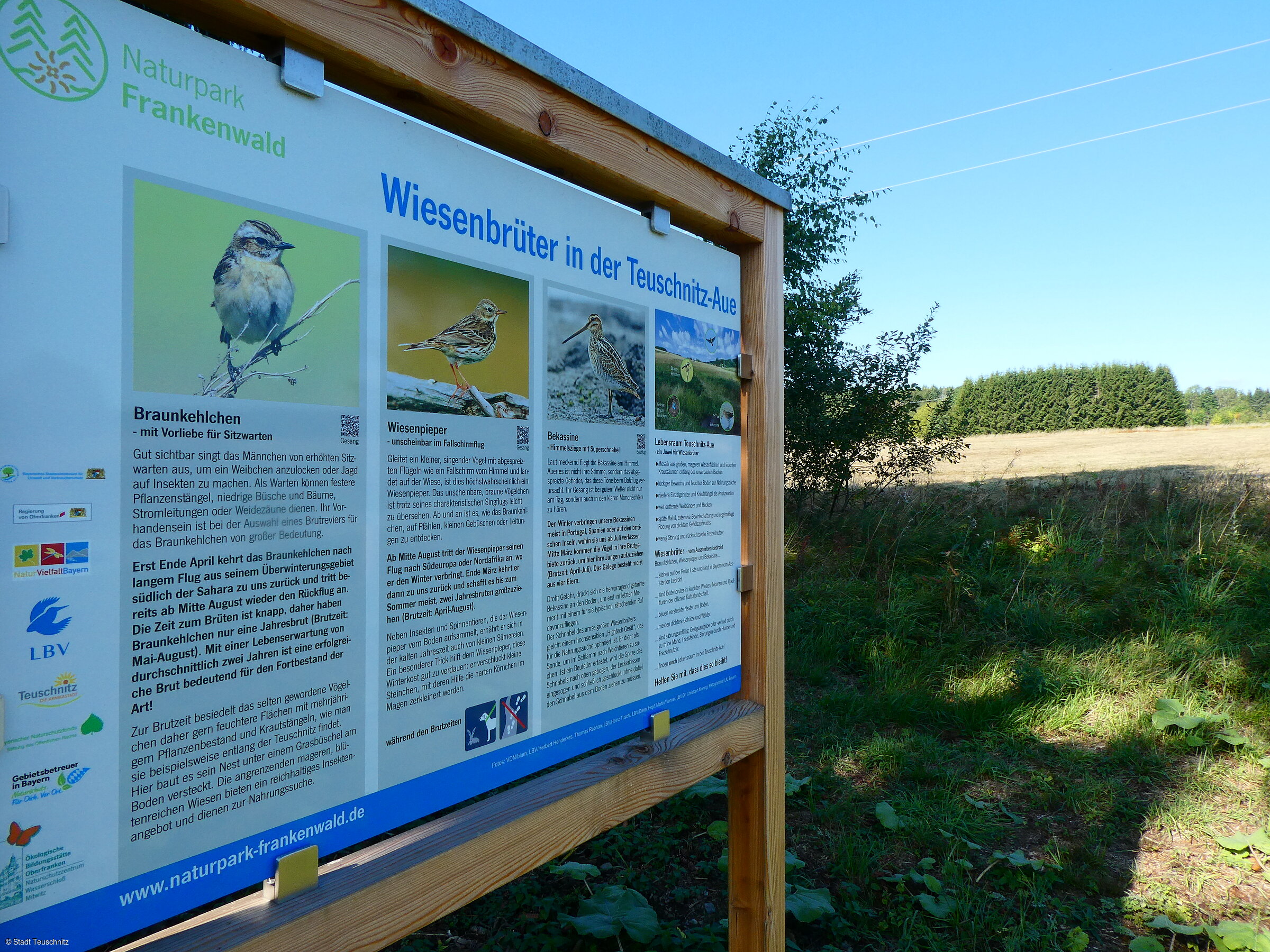 Naturweg (Teuschnitz, Frankenwald)