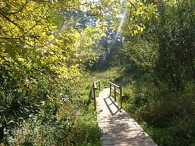 Grüne Wege zum Radeln und Wandern (Stein, Romantisches Franken)